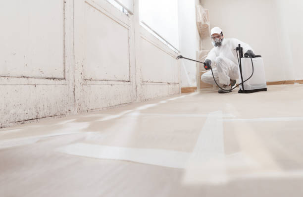 24/7 Emergency Crawl Space Mold Remediation experts in Rapidan, VA